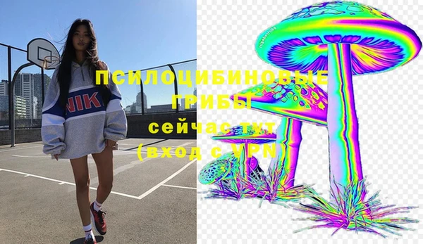 твердый Алексеевка