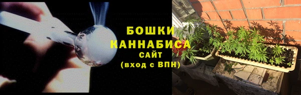 шишки Аркадак