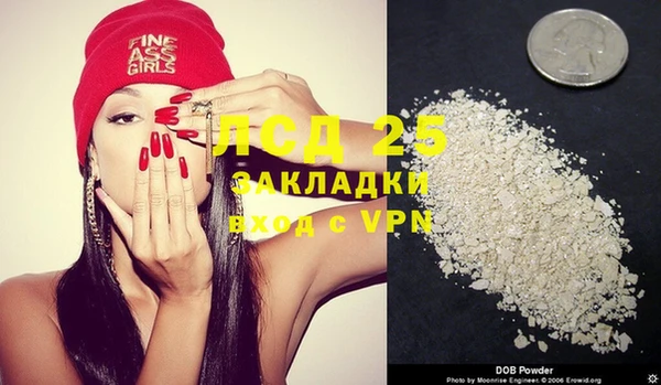 шишки Аркадак