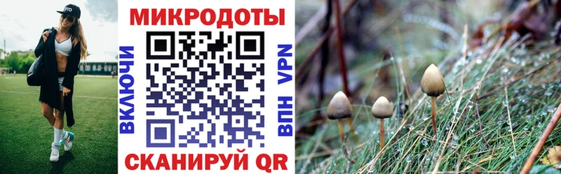 мега как зайти  Агрыз  Псилоцибиновые грибы мухоморы 
