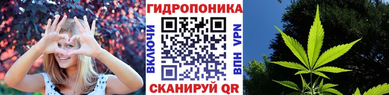 МАРИХУАНА VHQ  продажа наркотиков  Агрыз 